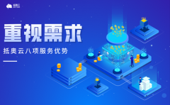 抵奥云8项服务优势保障，让每个客户都快速拥有适合自己的优质互联网产品